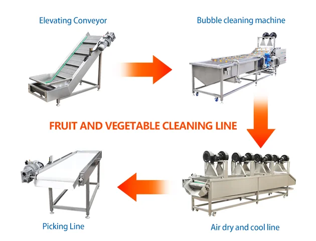 Joyshine diagram showing elevator, bubble washer, picking conveyor and air-drying line