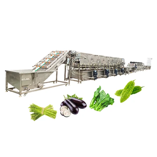 Joyshine vegetable washing line illustration with several produce types