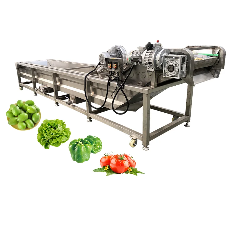 Joyshine bubble washing machine shown with lettuce and other produce