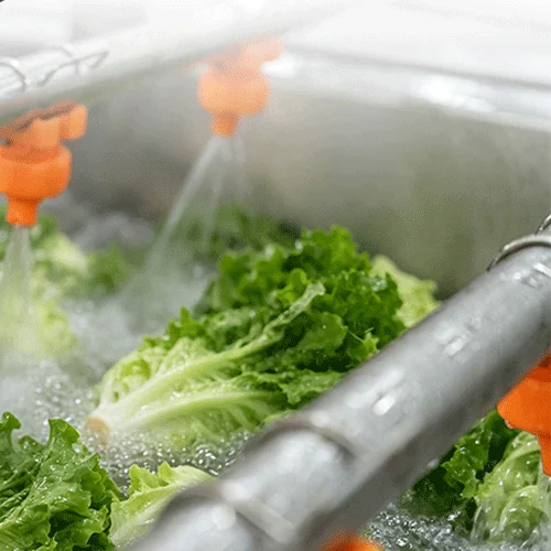 How to Reduce Leaf Damage When Washing Lettuce and Leafy Vegetables