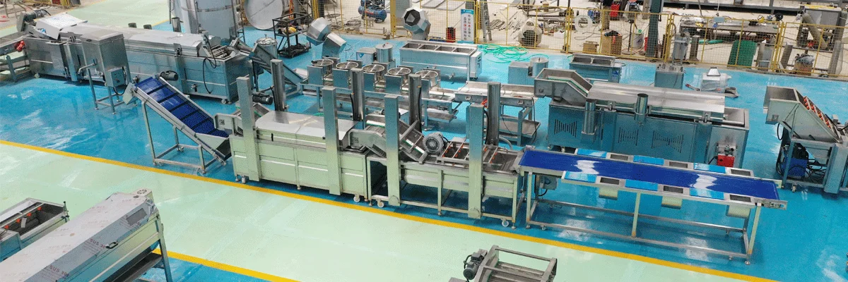 Stainless-steel vegetable processing equipment assembled at a Joyshine facility
