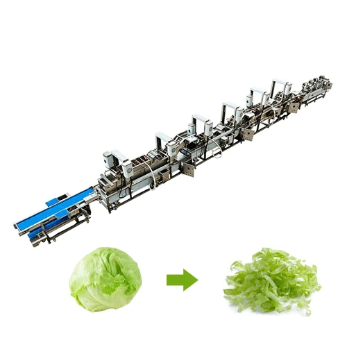 Joyshine fresh-cut lettuce processing line illustration