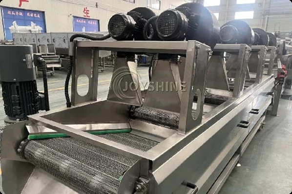 Air-drying conveyor module at a Joyshine production facility
