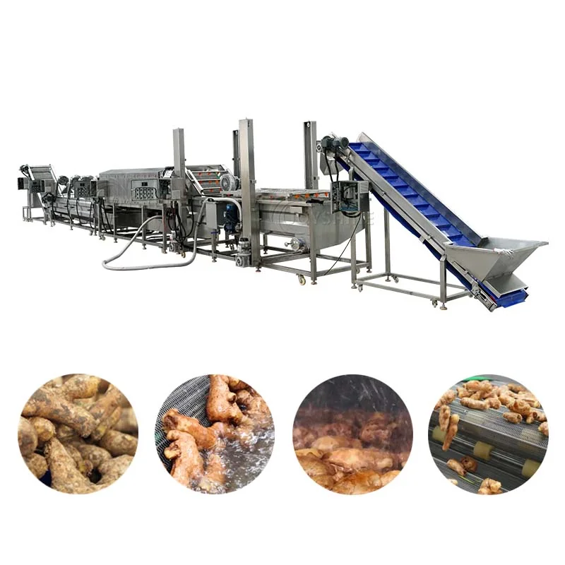 How to Wash Root Vegetables at Industrial Scale: A Complete Processing Guide