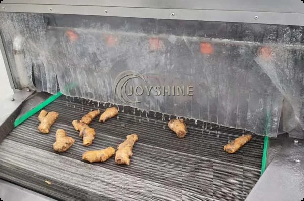 Ginger passing through a spray-rinse section on a conveyor