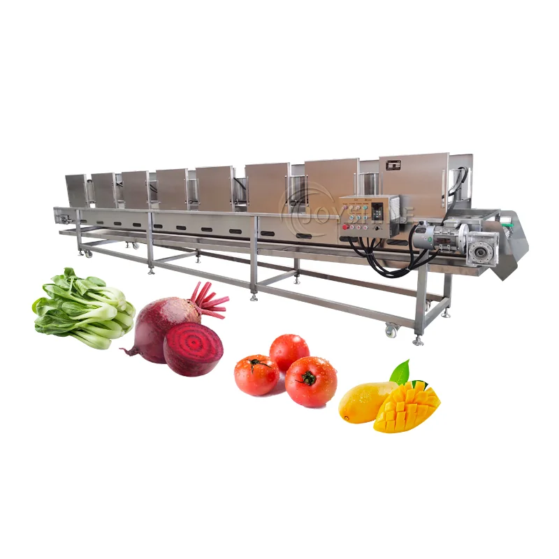 Joyshine vegetable air drying conveyor equipment illustration