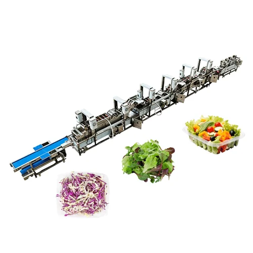 Industrial Leafy Vegetable Washing: Bubble Washing, Rinsing and Dewatering Explained