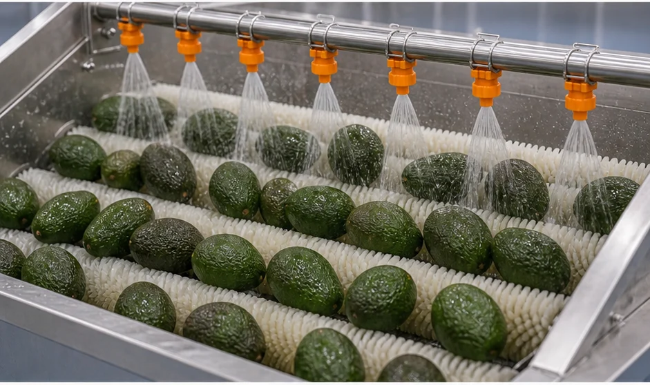 Avocado Washing Machine product image 3
