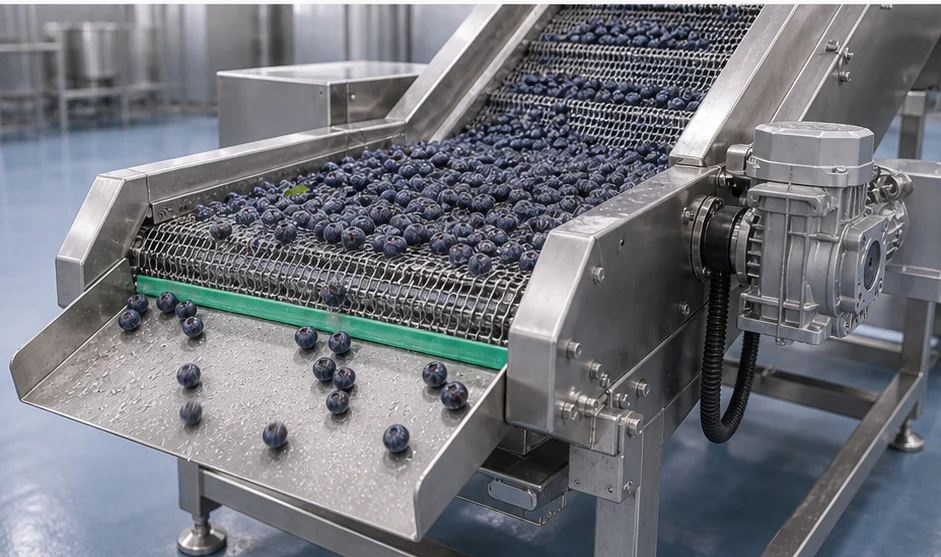 Blueberry Washing Machine product image 4