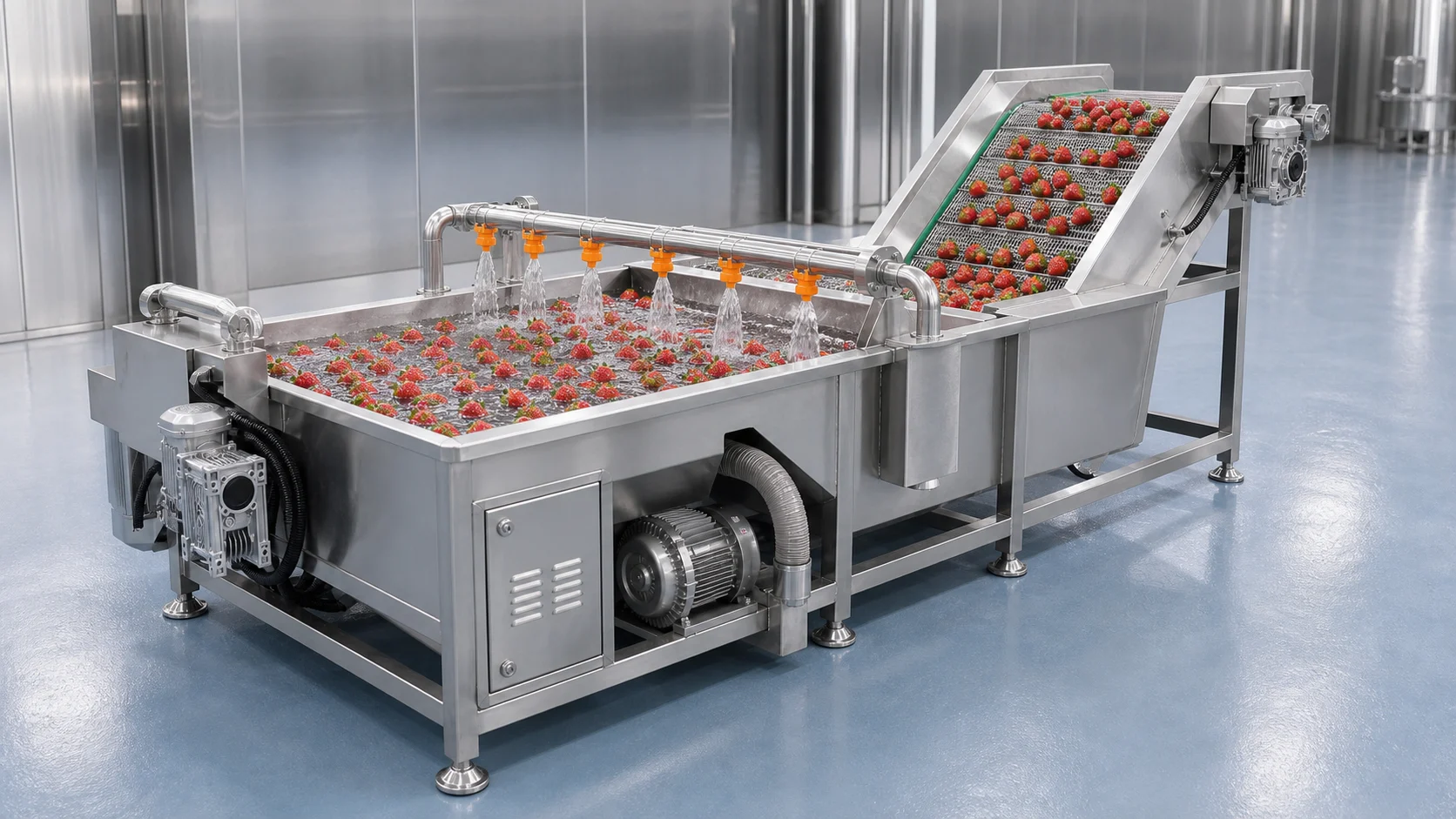 Industrial Strawberry Washing Machine