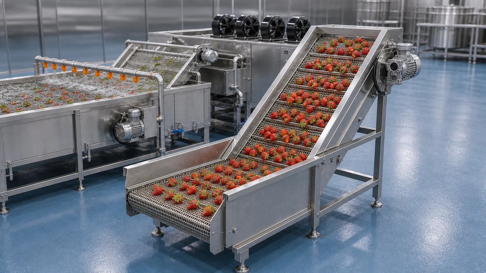 Industrial Strawberry Washing Machine product image 4